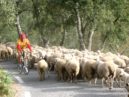 Provence en vélo