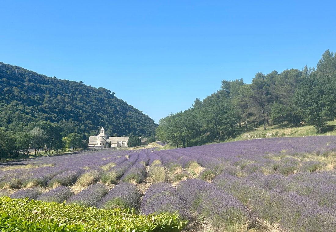 luberon1 La Provence à vélo