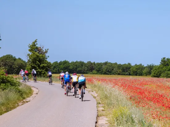 stage vélo Verdon